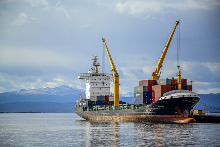 ship, cranes, loading, dock, port, pier, machinery, heavy machinery, cargo, cargo ship, shipping, shipping industry, freight, nature, freight transport, freight ship, sea, ocean, water, travel, voyage, argentina, transport, transportation, infrastructure
